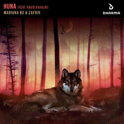 Cover of Huna (feat. Ravid Kahalani)