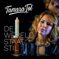 Cover of De Wereld Staat Stil