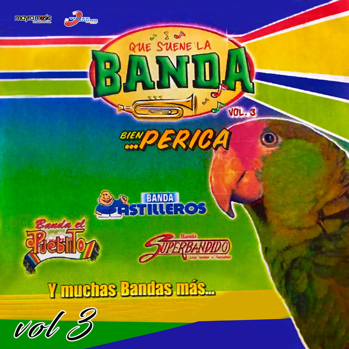 Album cover of Que Suene La Banda Bien Perica, Volumen 3