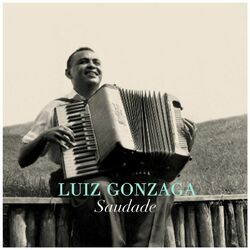 Cover of Saudade