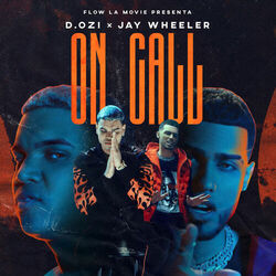 Cover of On Call