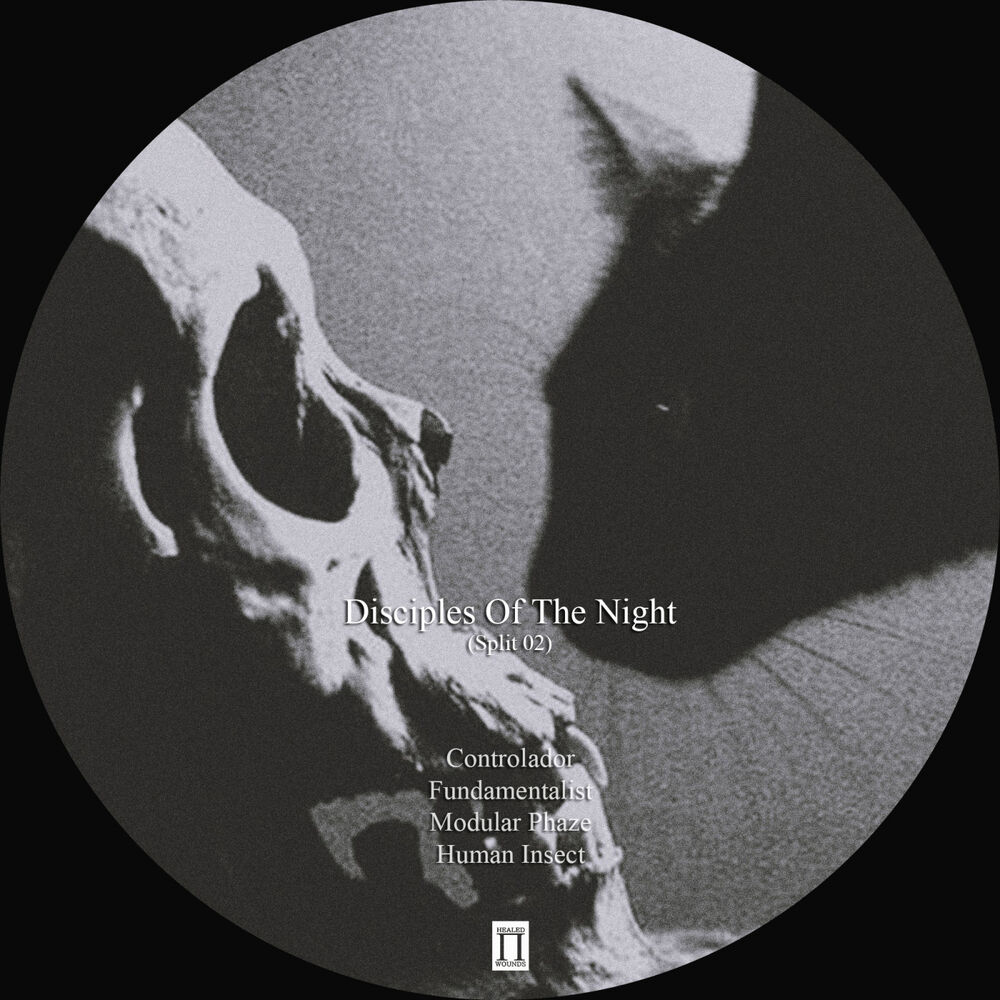 Picture of Disciples Of The Night [Split02]
