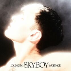 Cover of Skyboy