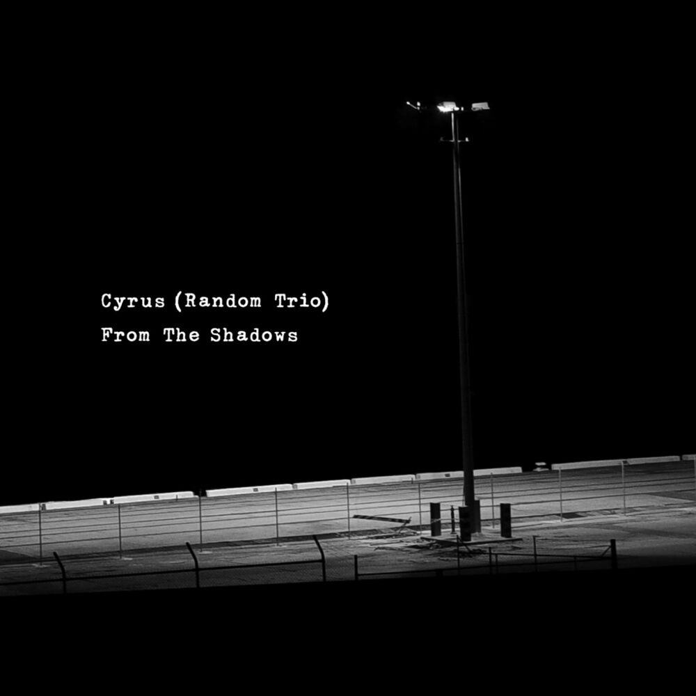Picture of From the Shadows