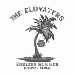 Cover of Endless Summer (Deepend Remix)