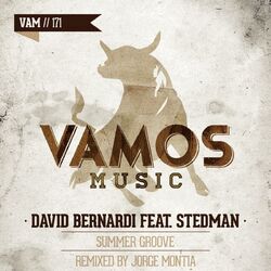 Cover of Summer Groove