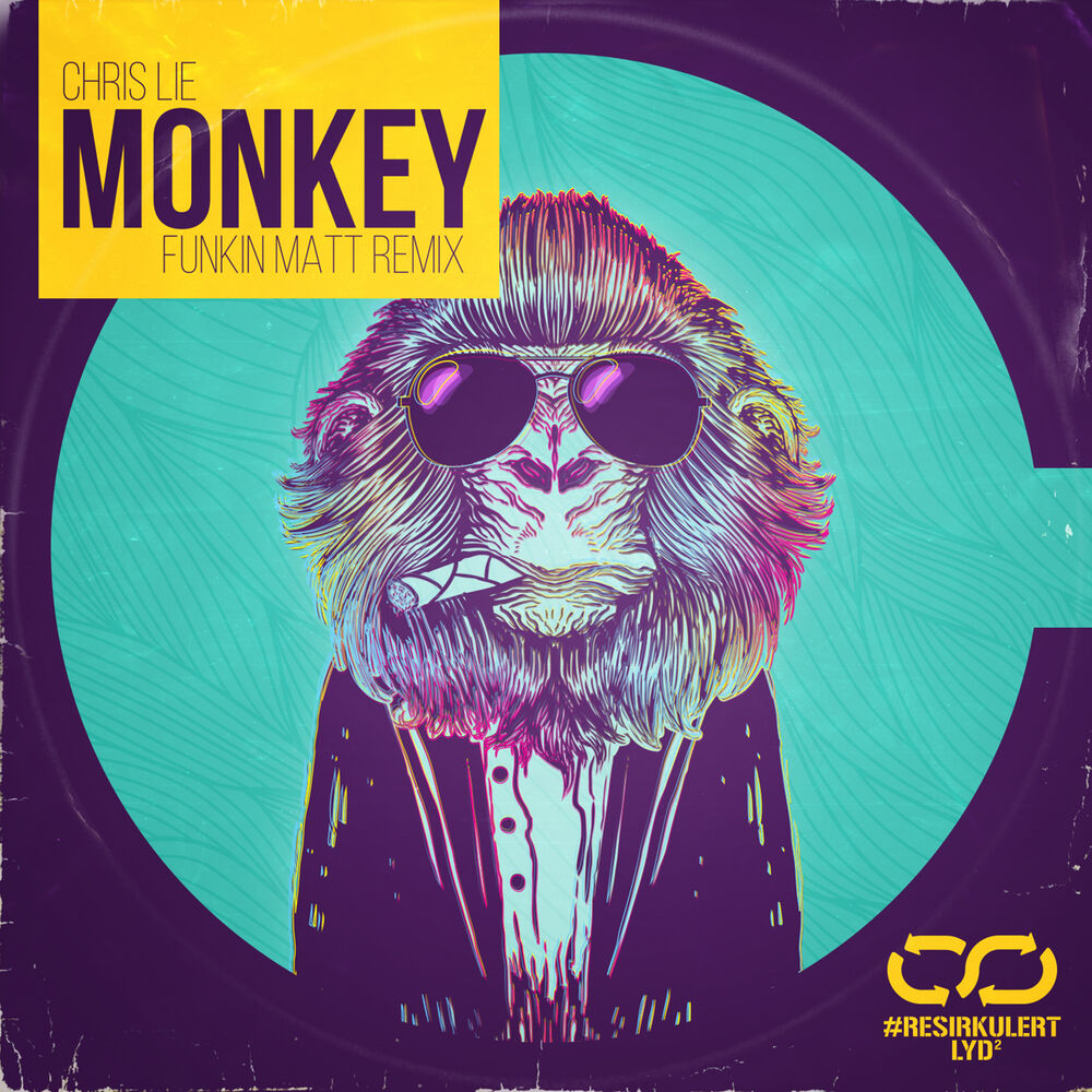 Picture of Monkey (Funkin Matt Remix)