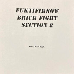Cover of 100% Punk Rock