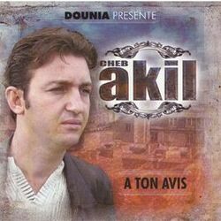 Cover of A Ton Avis