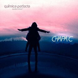 Cover of Química Perfecta (Media Mitad)