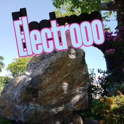 Cover of Electrooo