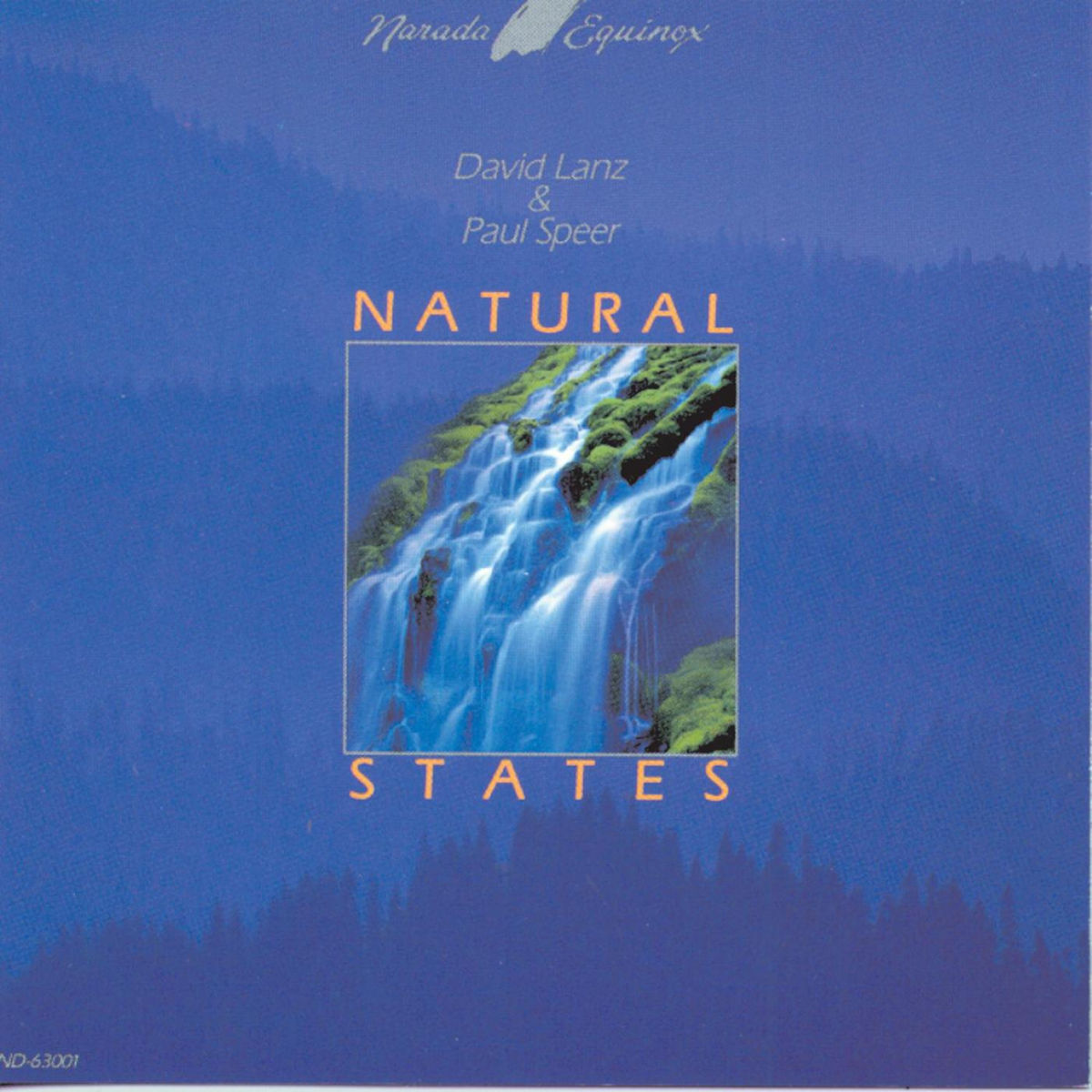Album cover of Rain Forest