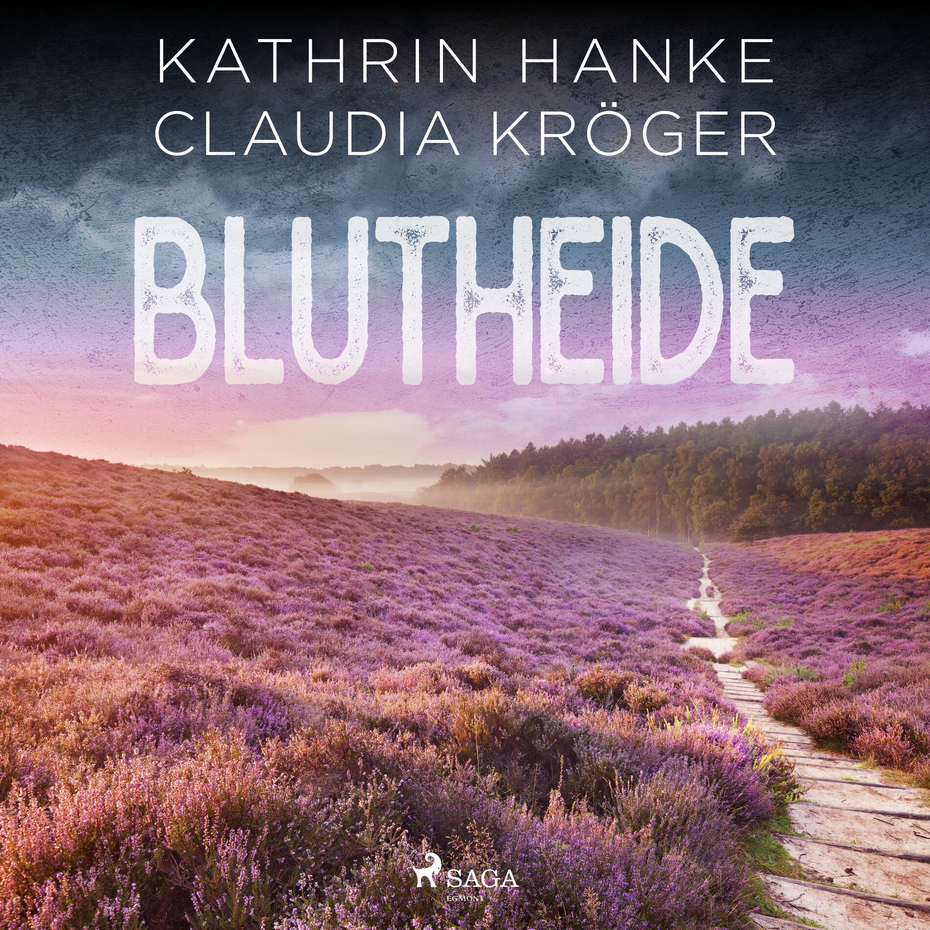 Album cover of Blutheide (Katharina von Hagemann, Band 1)