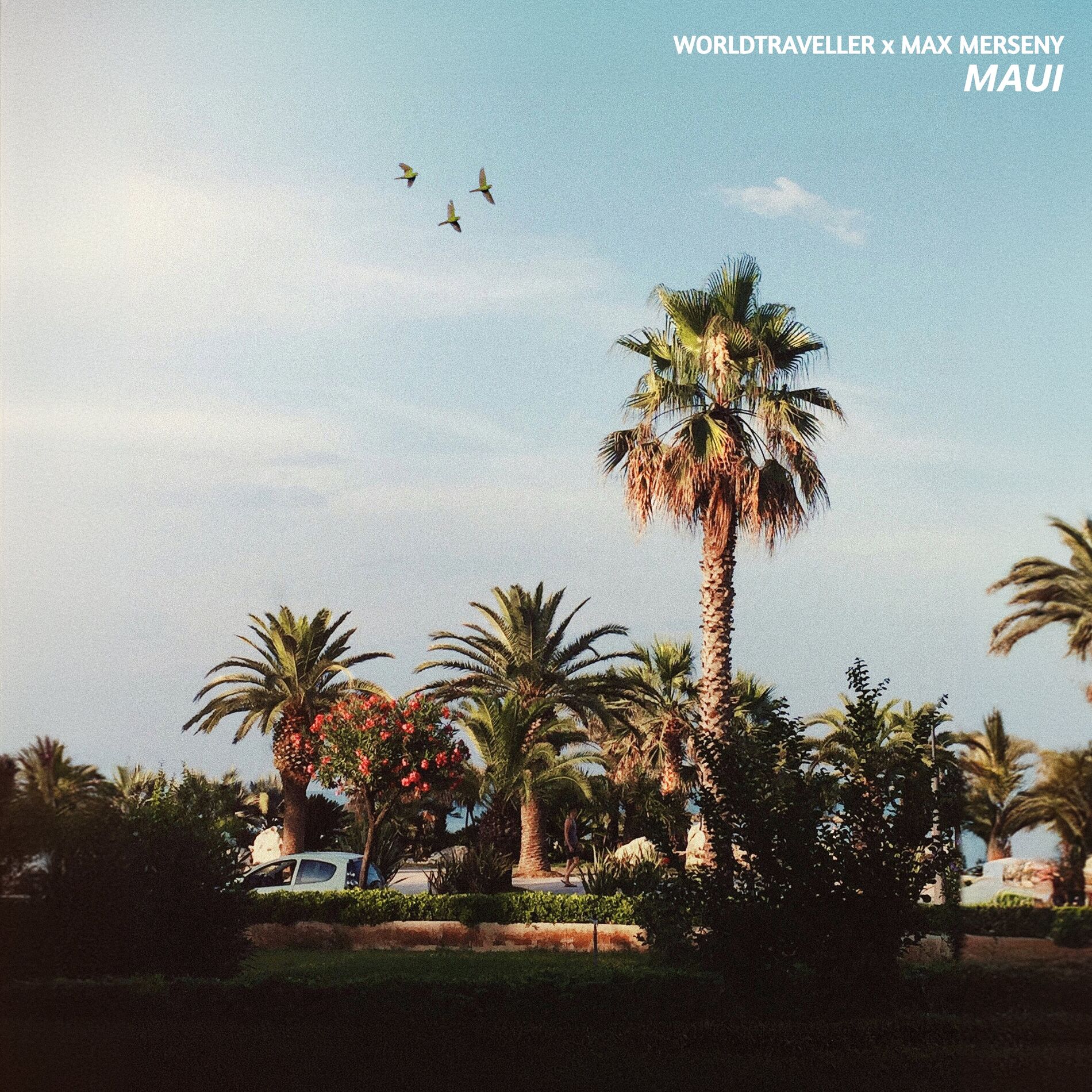 Album cover of Maui