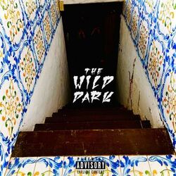 Cover of The Wild Dark