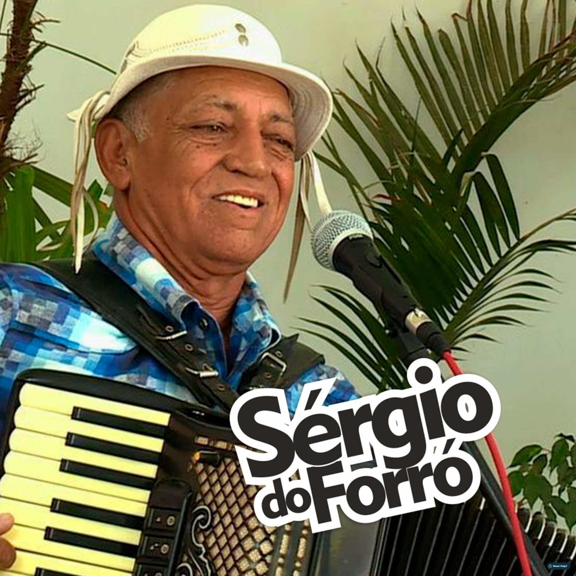 Album cover of Sergio do Forró