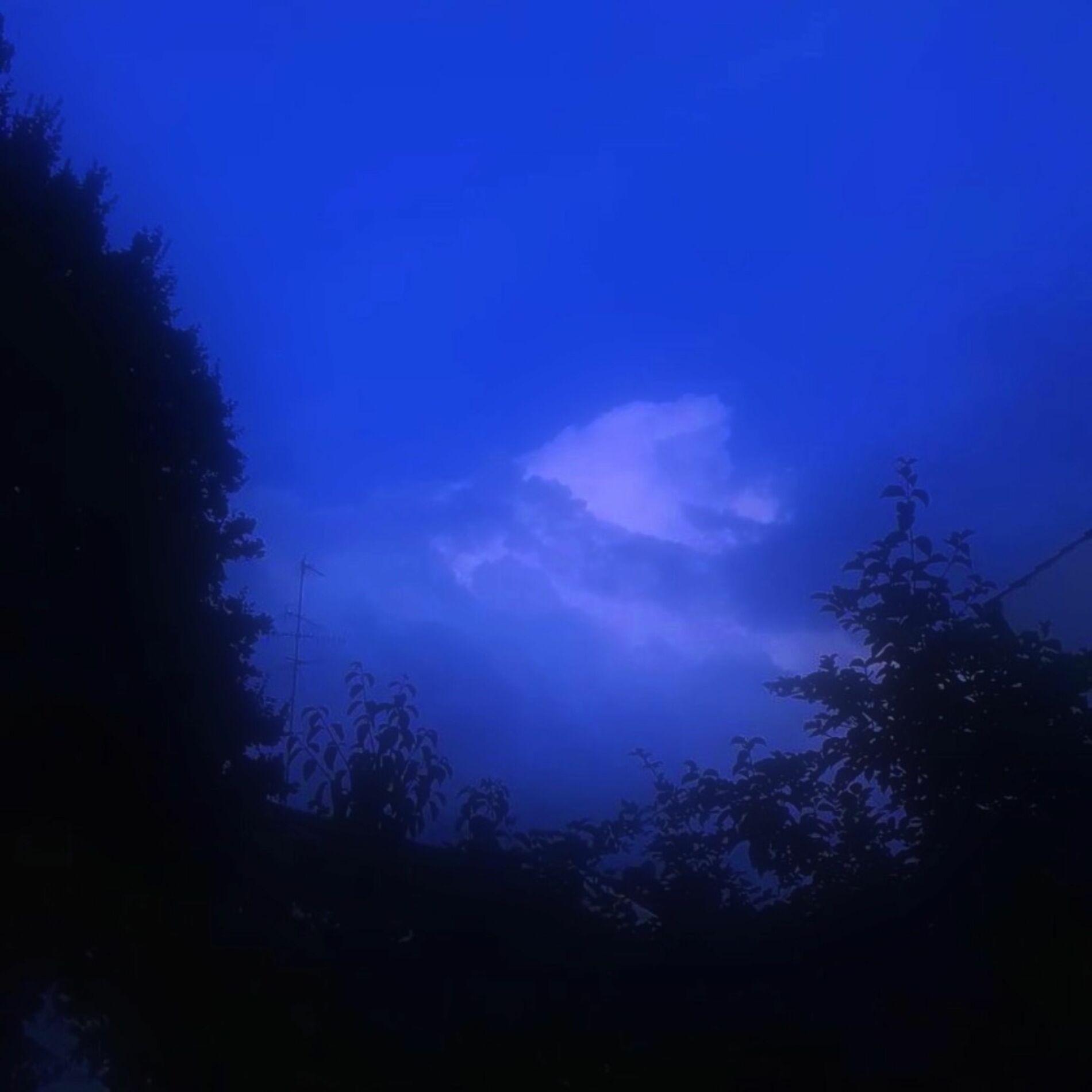 Album cover of 3 am walk