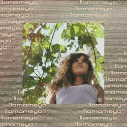 music cover