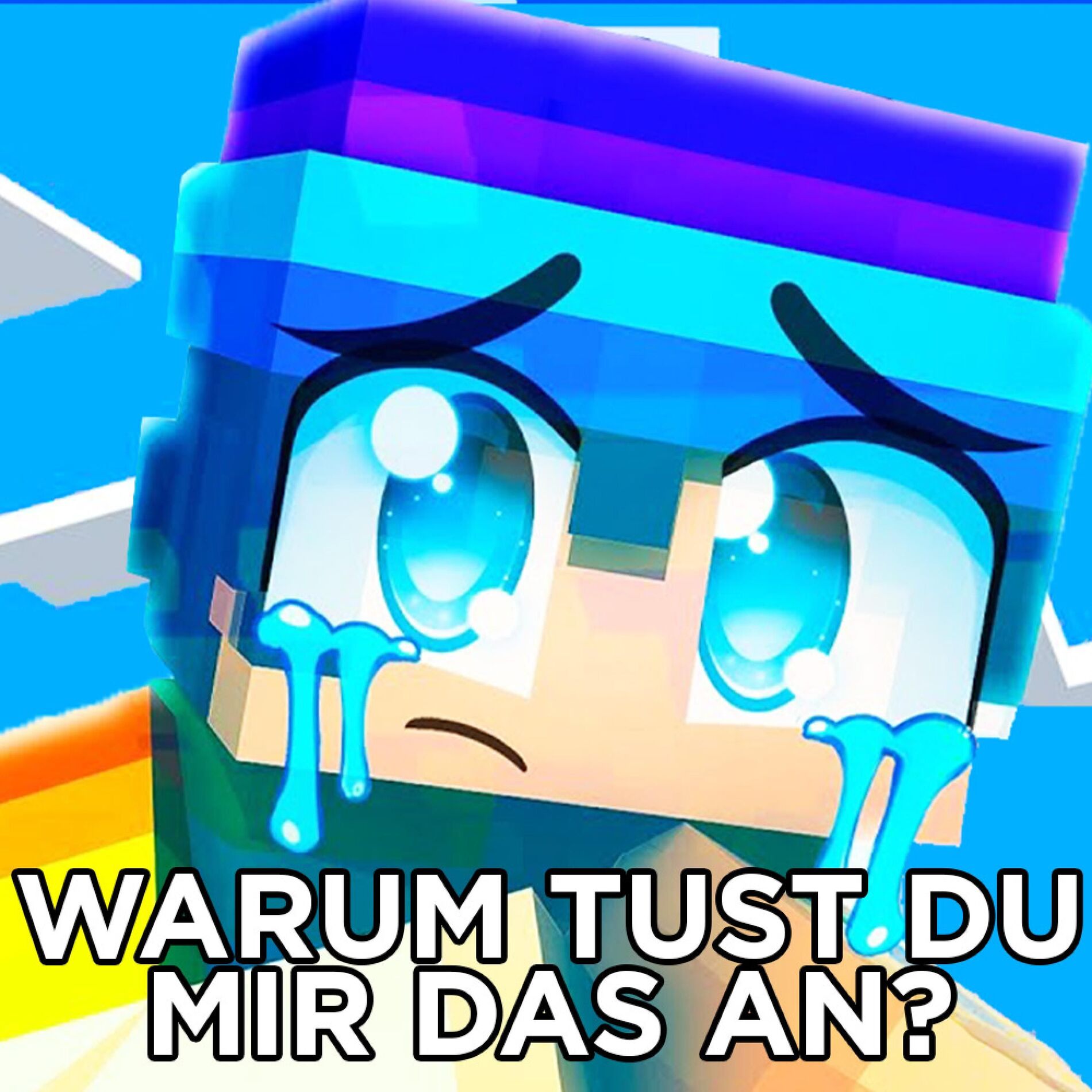 Album cover of Warum tust du mir das an