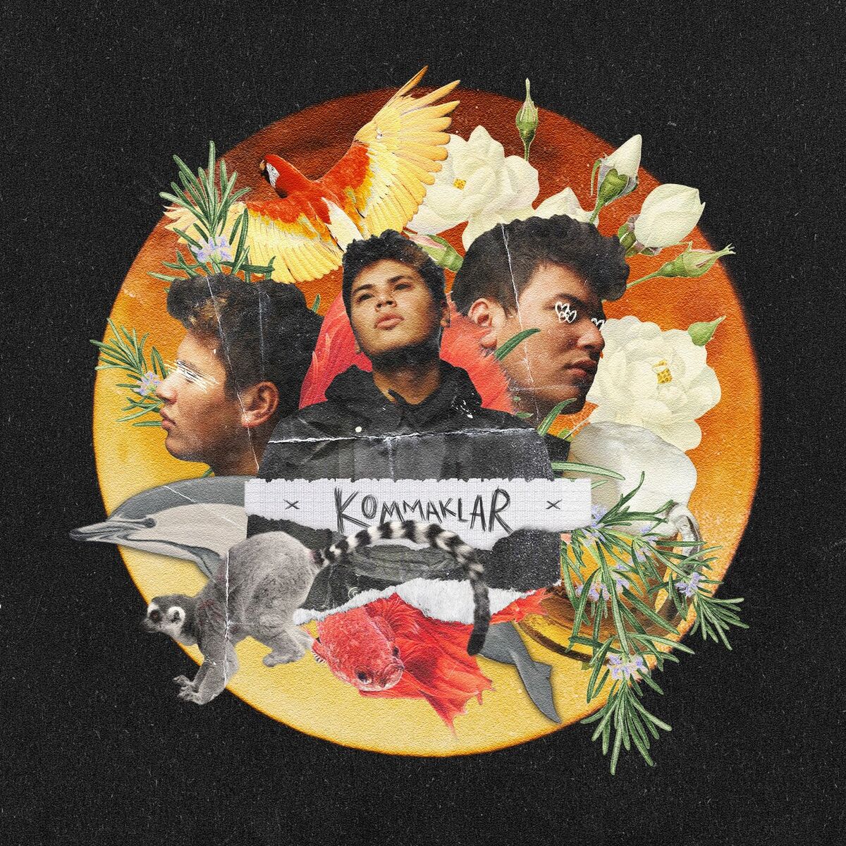 Album cover of Rosmarin