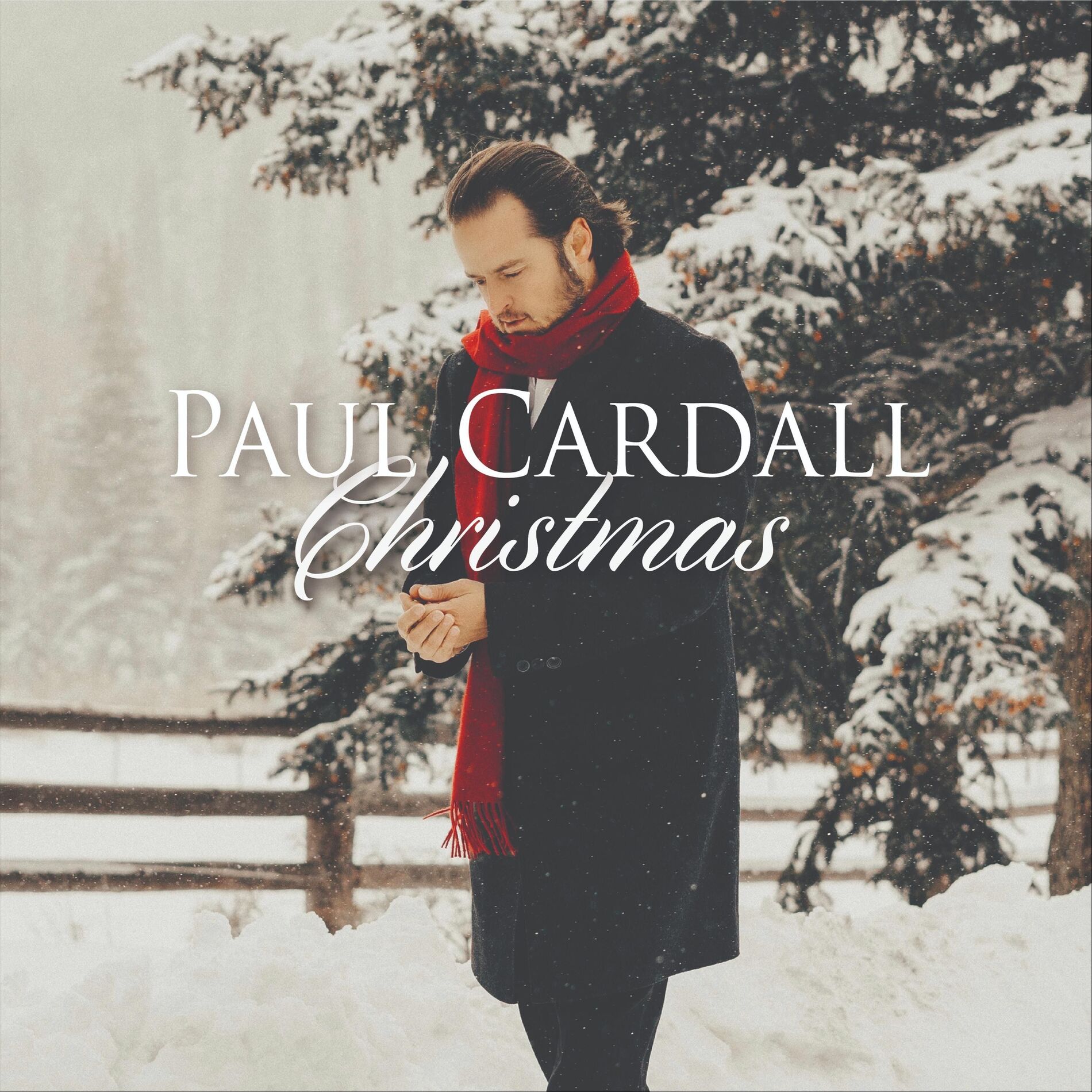 Album cover of Christmas