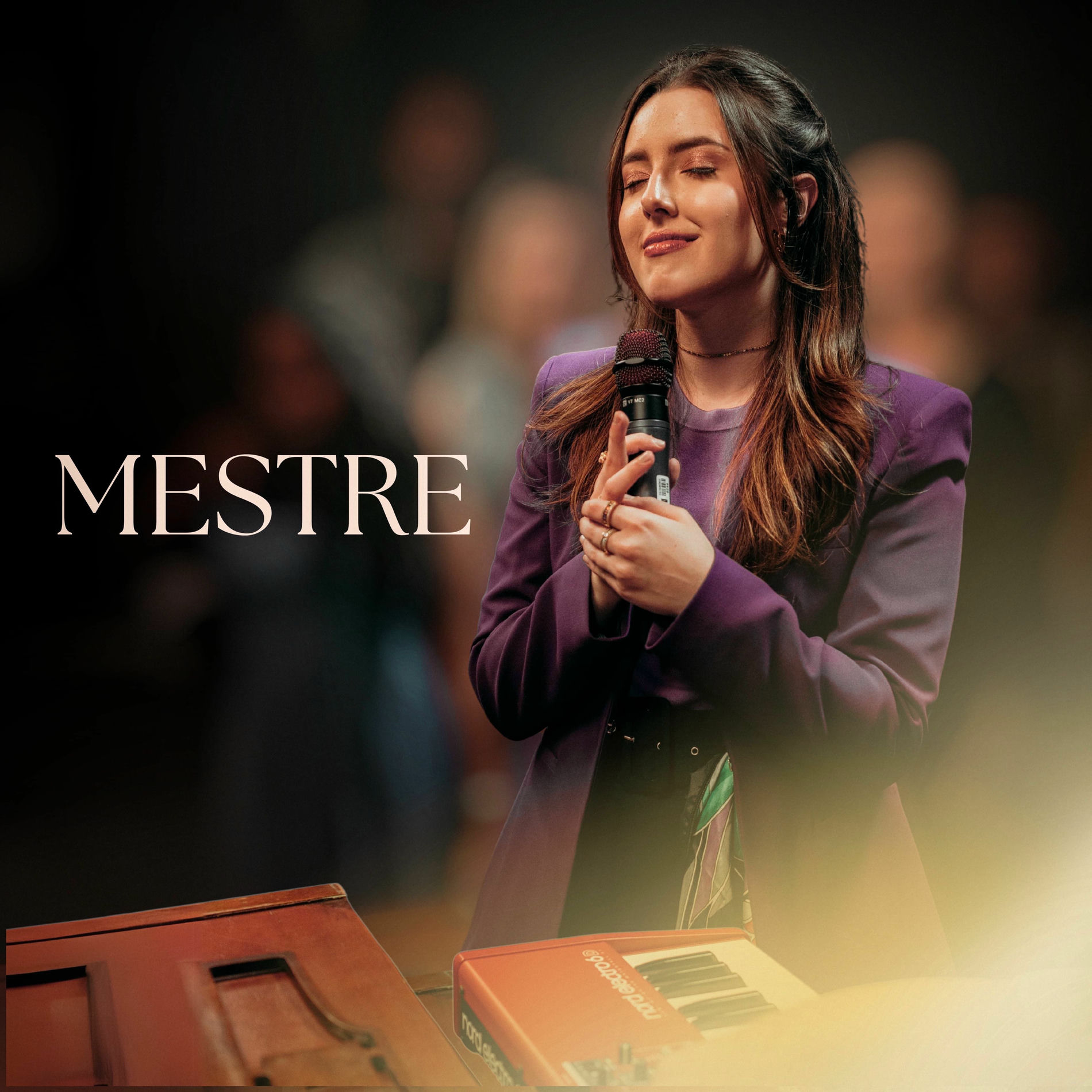Album cover of Mestre