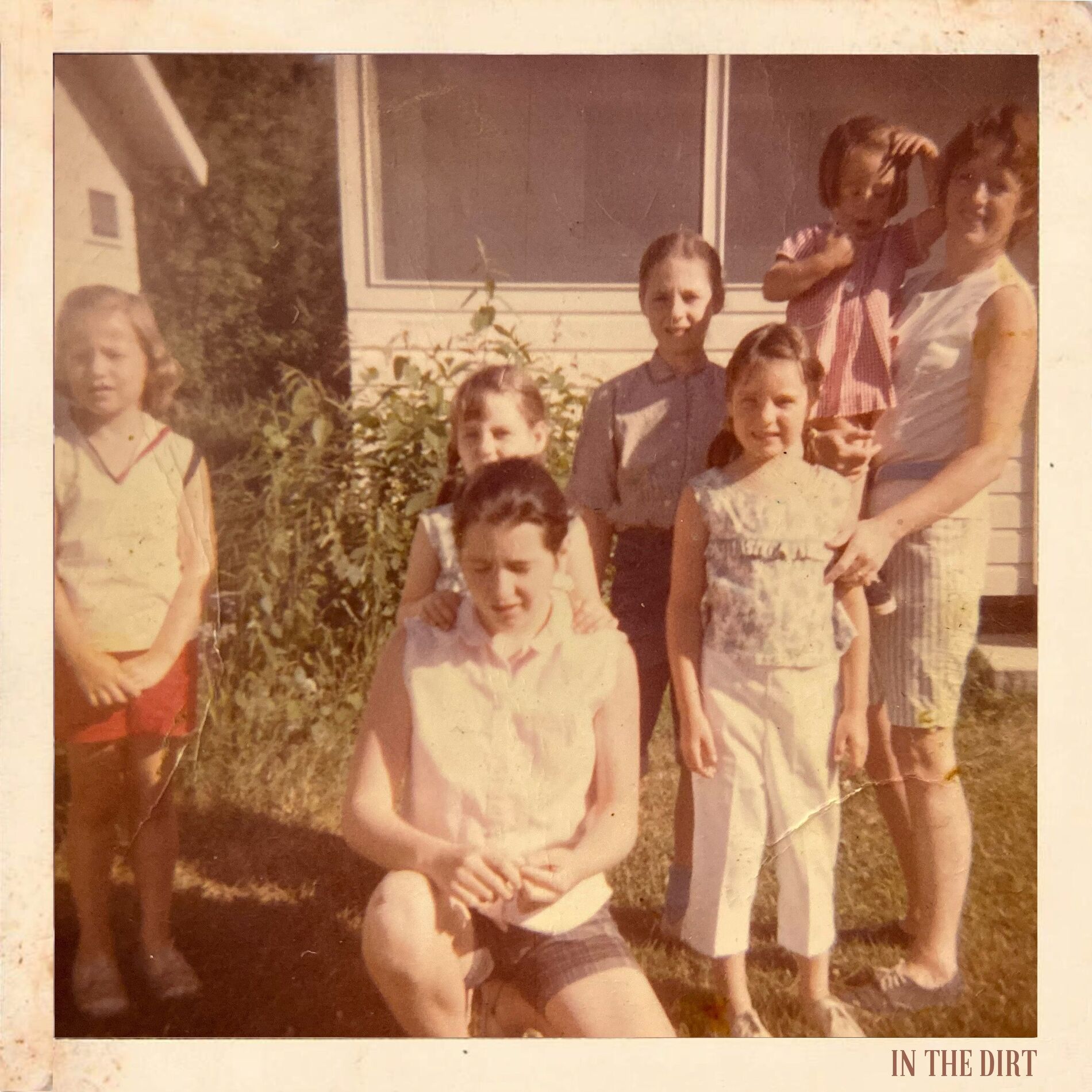 Album cover of In The Dirt