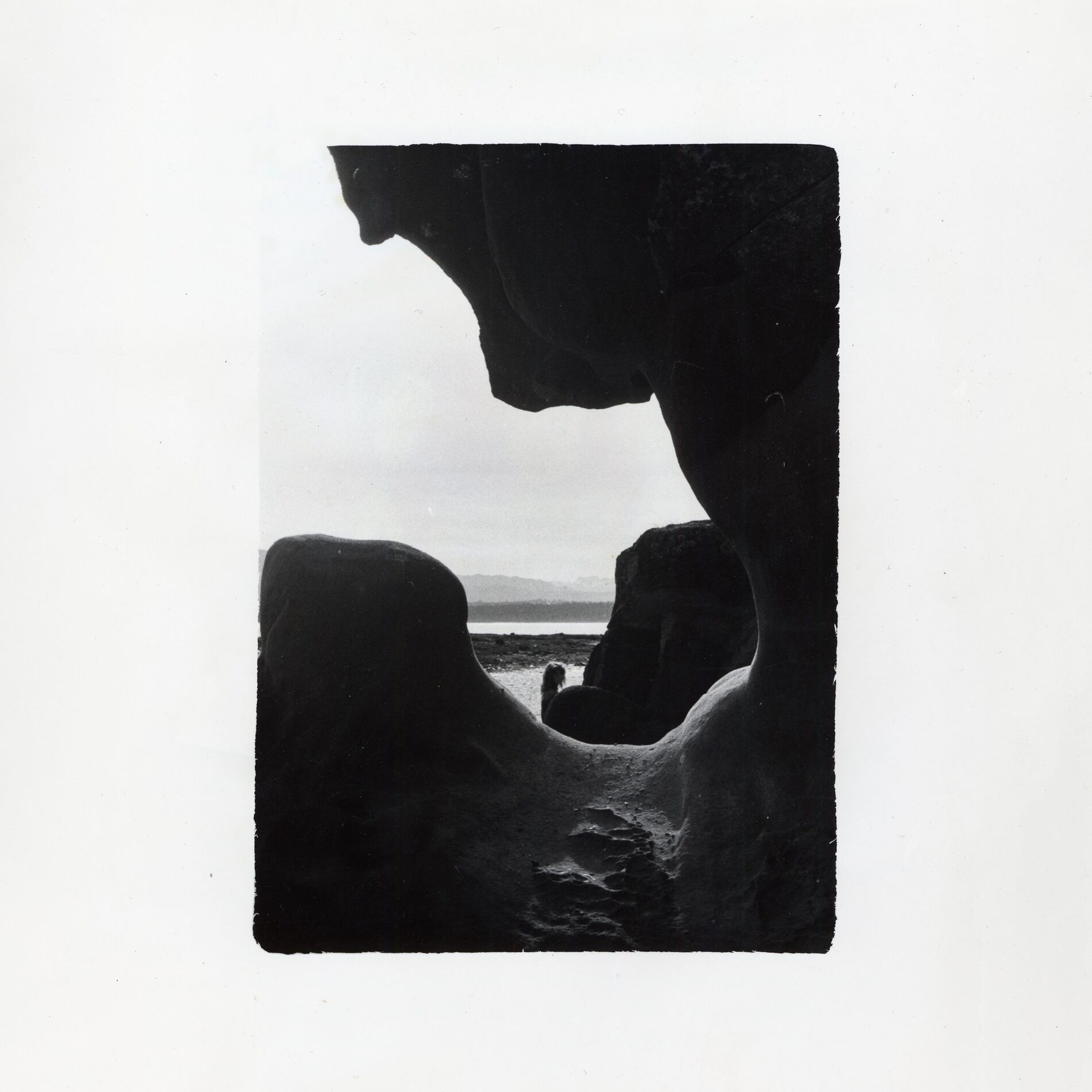 Album cover of Any Light