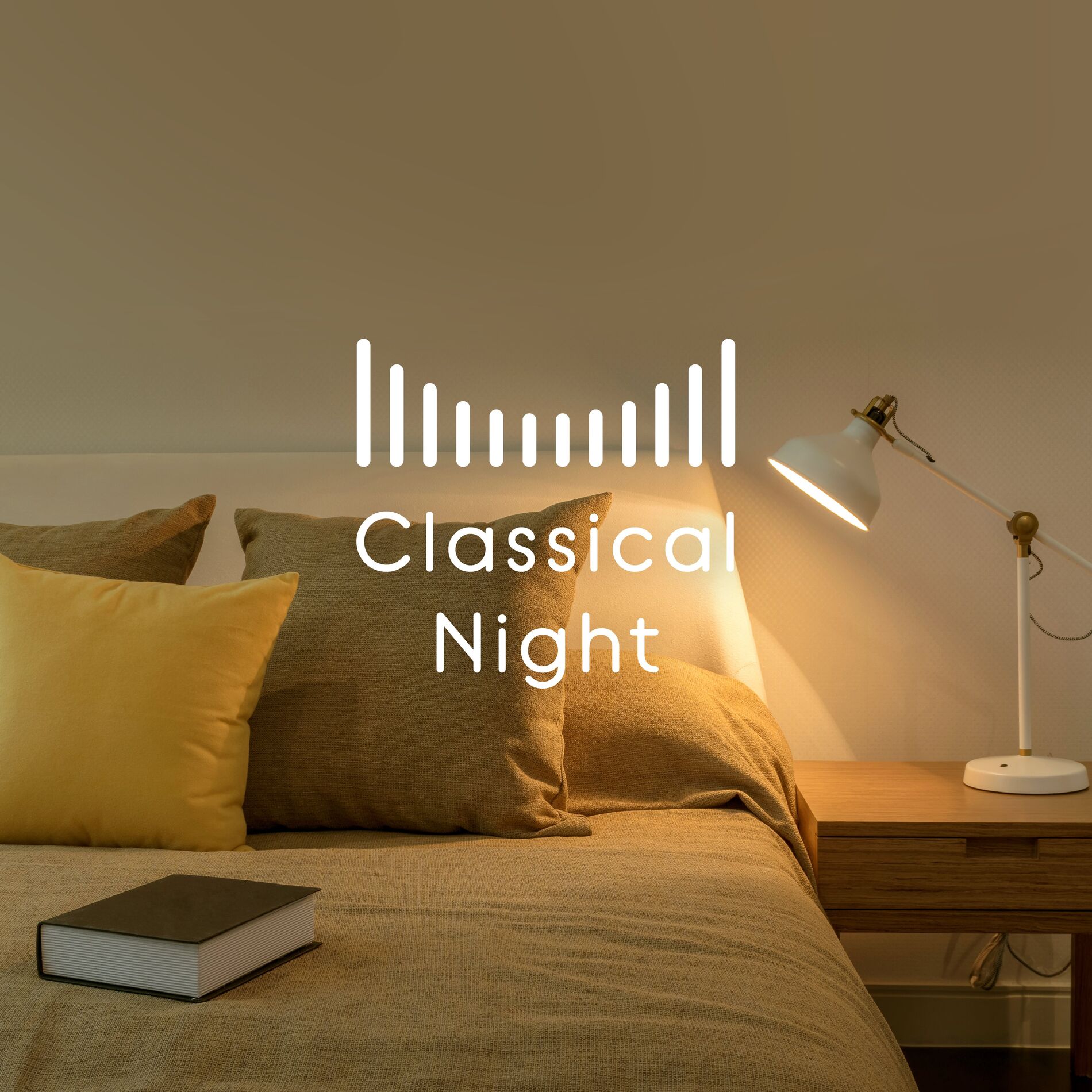 Album cover of Classical Night