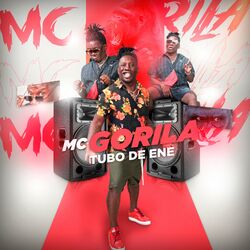 Cover of Tubo de Ene