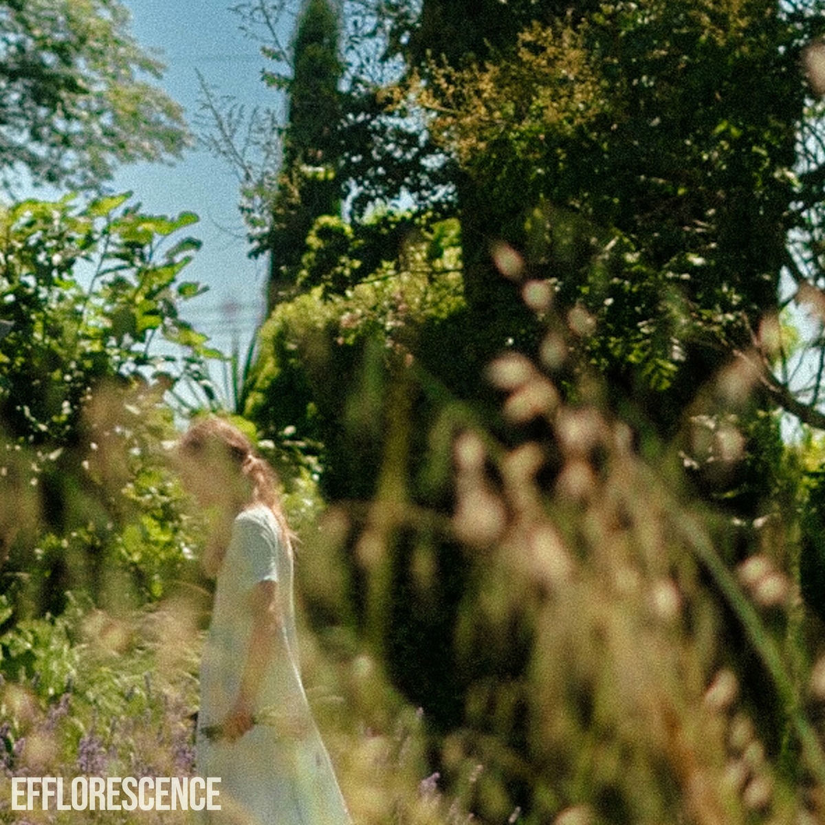 Album cover of efflorescence