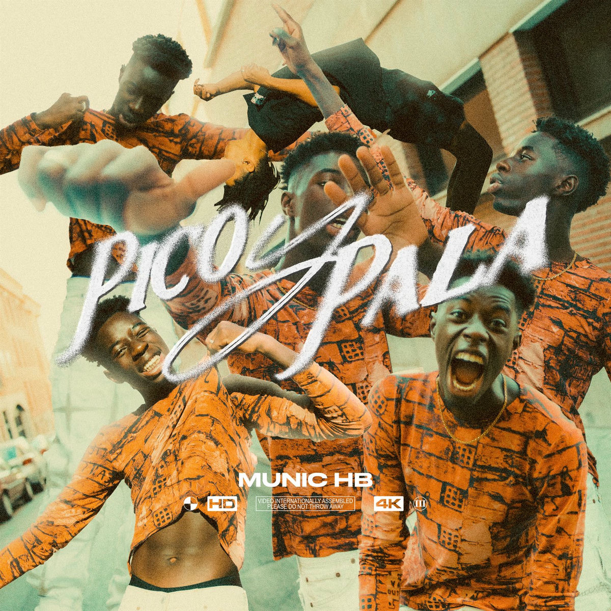 Album picture of Pico y Pala