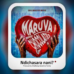 Cover of Ndichasara Nani ?