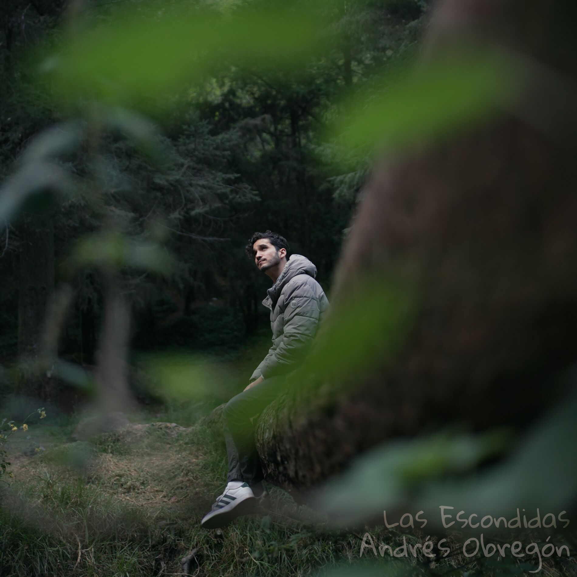 Album cover of Las Escondidas