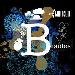 Cover of Besides