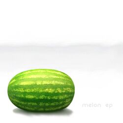 Melon