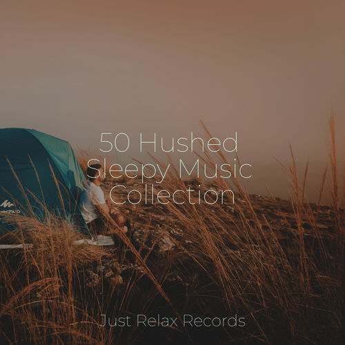 50 Hushed Sleepy Music Collection