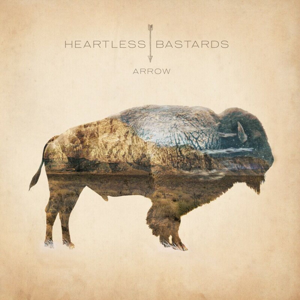Album cover of Skin and Bone