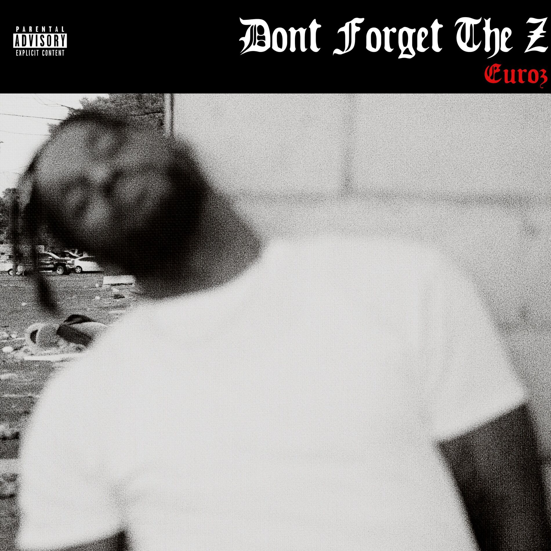 Album cover of Don't Forget The Z