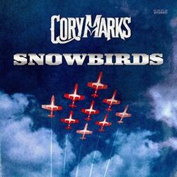 Cover of Snowbirds