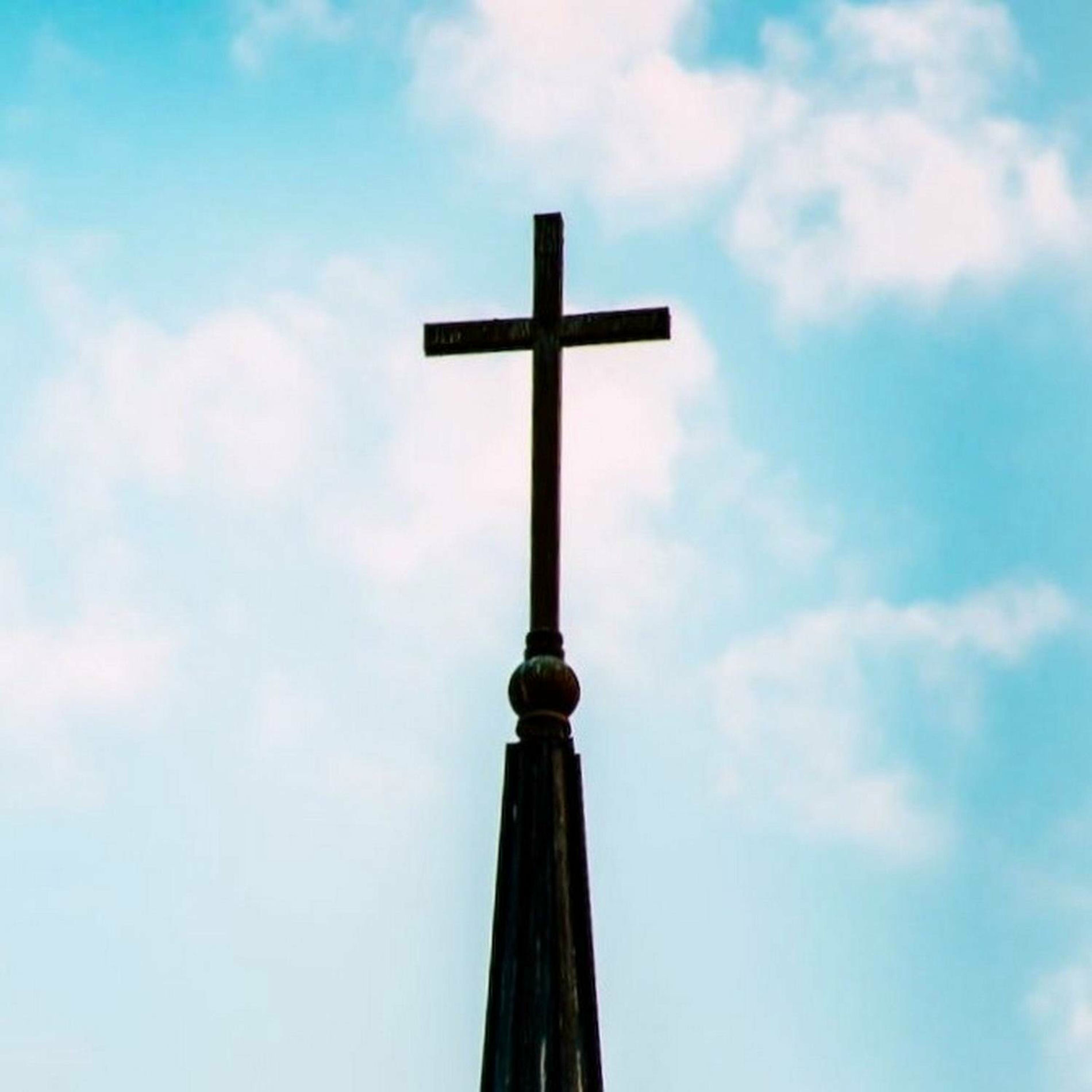 Album cover of If We Could All Believe In Jesus (Radio Edit)