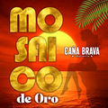 Mix Mosaico de Oro- T&eacute; Vas a Enamorar | Lejos de Ti Mi Vida | L&aacute;grimas, Lagrimas