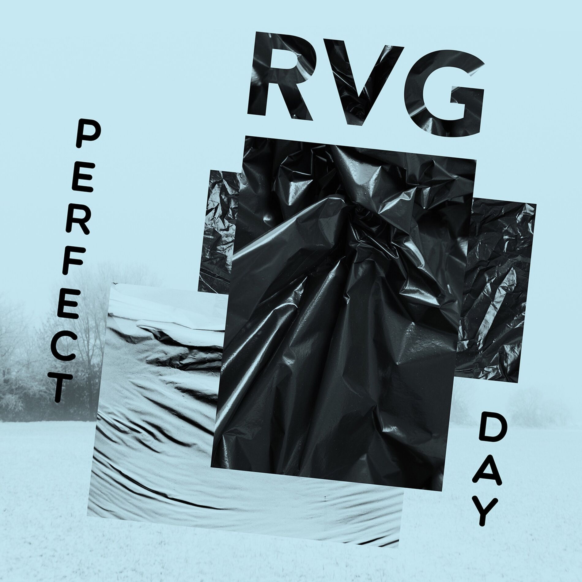 Album cover of Perfect Day