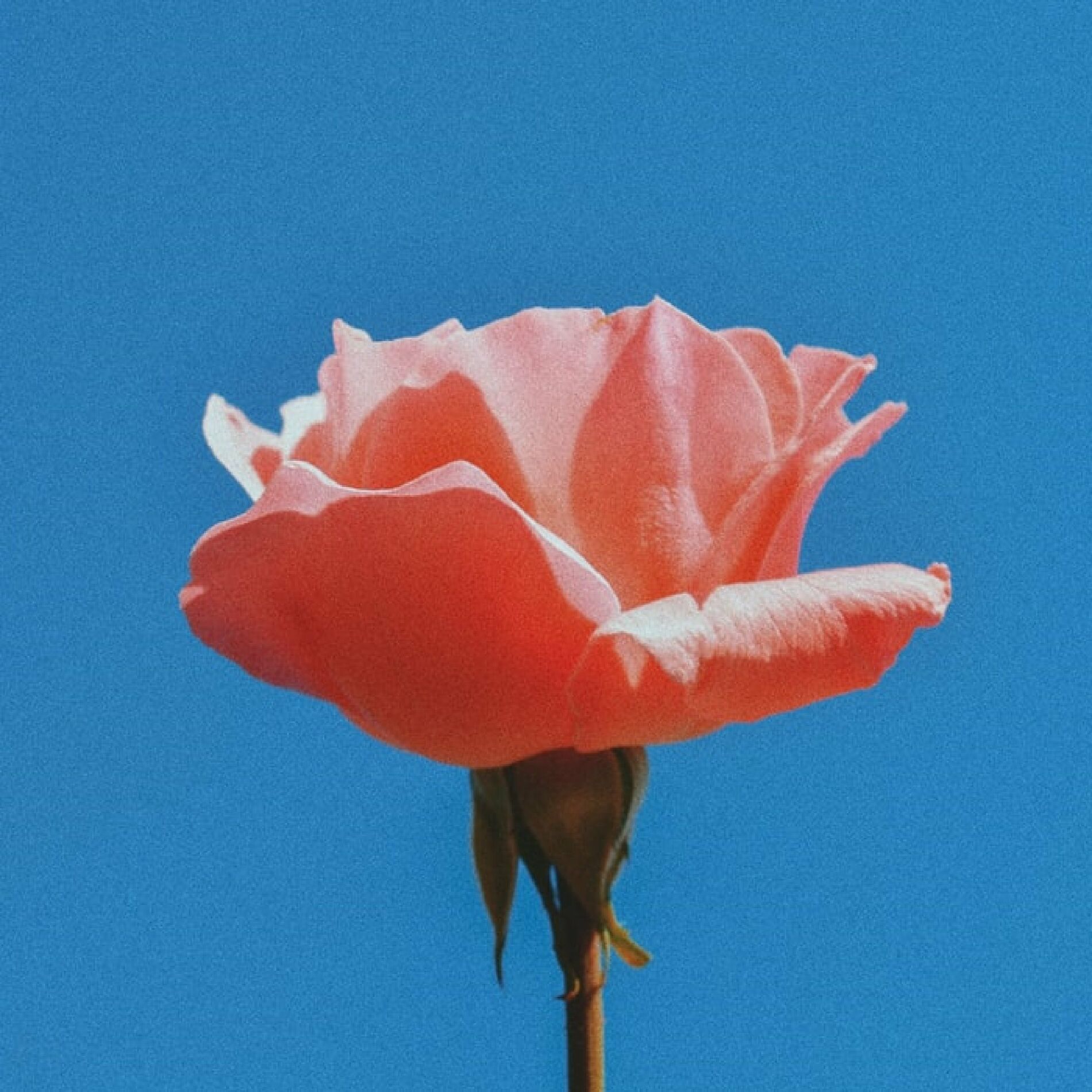Album cover of Utopia