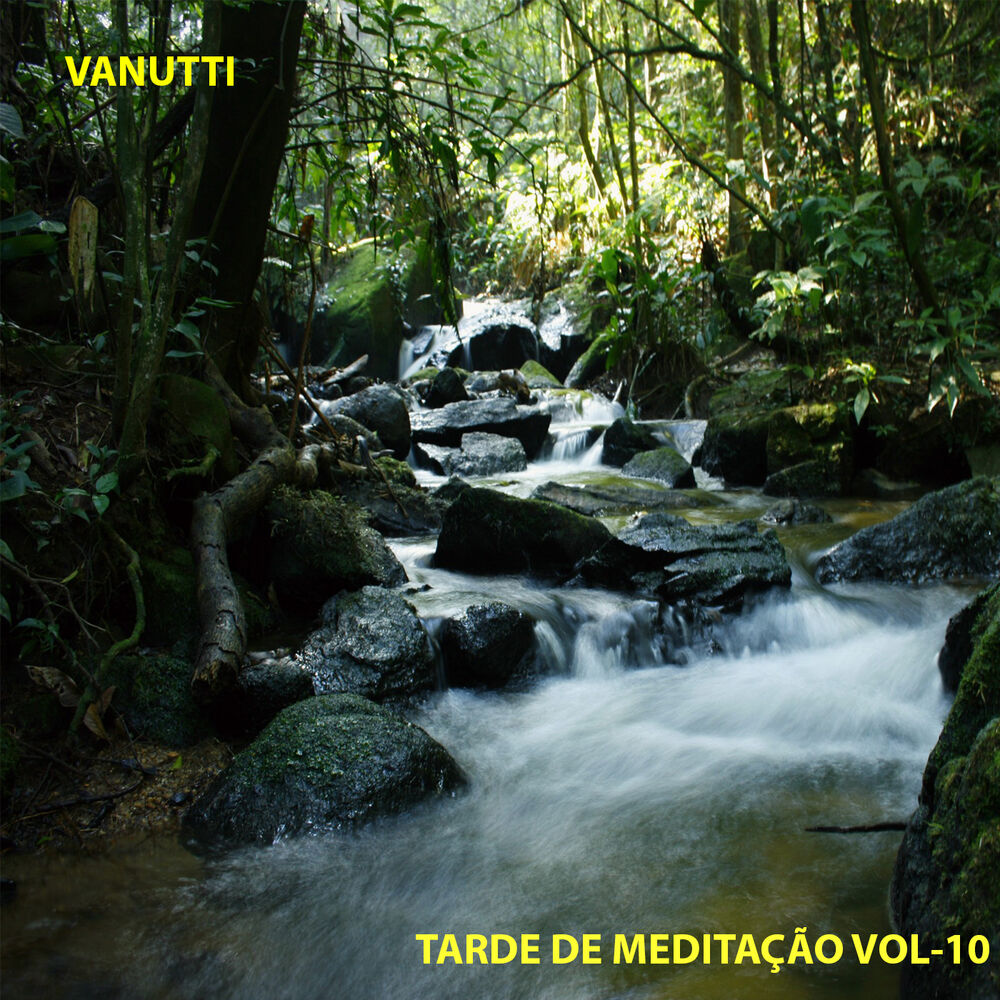 Picture of Tarde de Meditação, Vol. 10