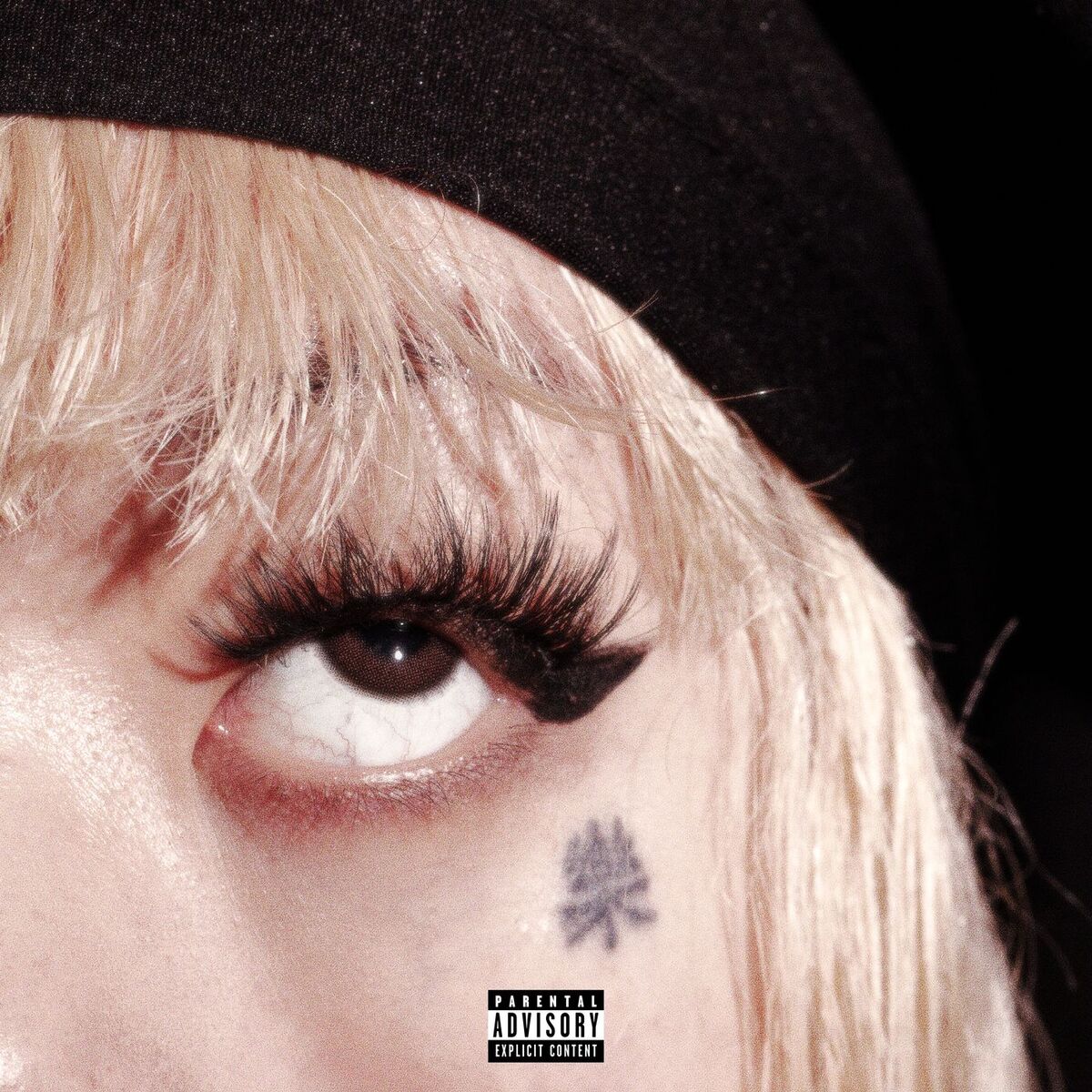 Album cover of Dark Thoughts