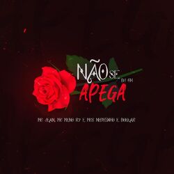 Cover of Não Se Apega