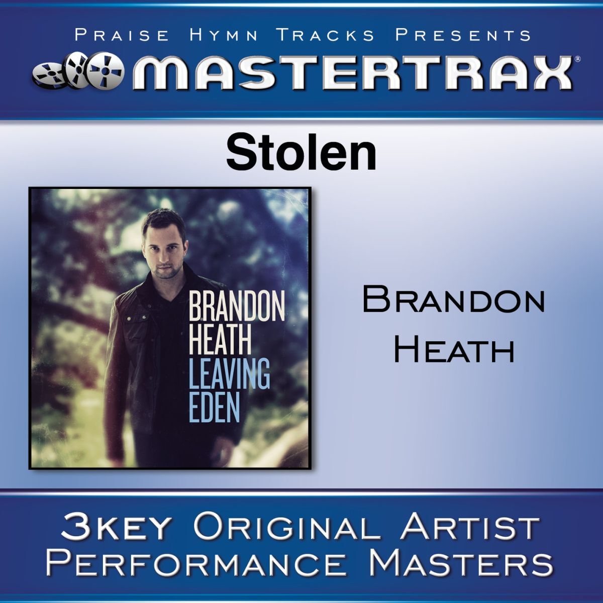 Album cover of Stolen [Performance Tracks]