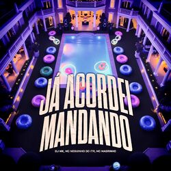 Cover of Já Acordei Mandando
