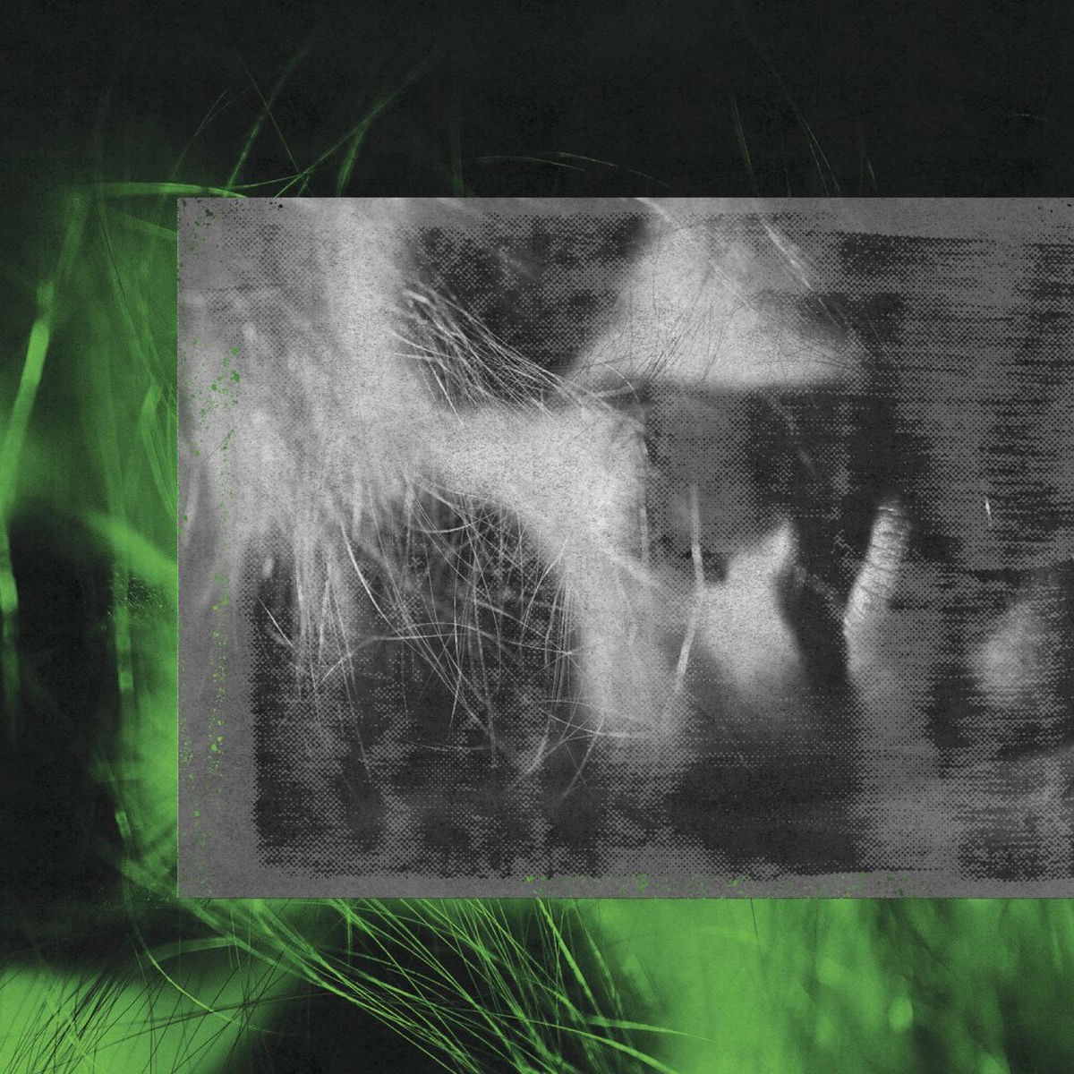 Album cover of Green Lane